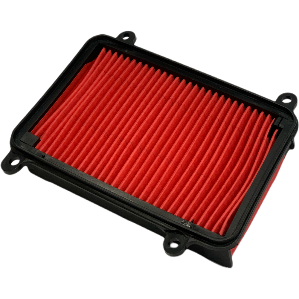 FILTRO AIRE NS 200 / RS 200 / NS 160 / DOMINAR PULSAR FI PROTECH